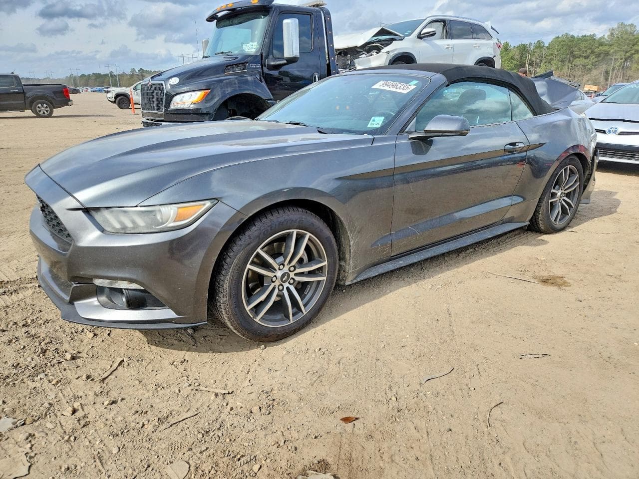 MUSTANG