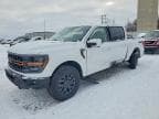 F150 TREMO