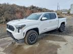 TACOMA