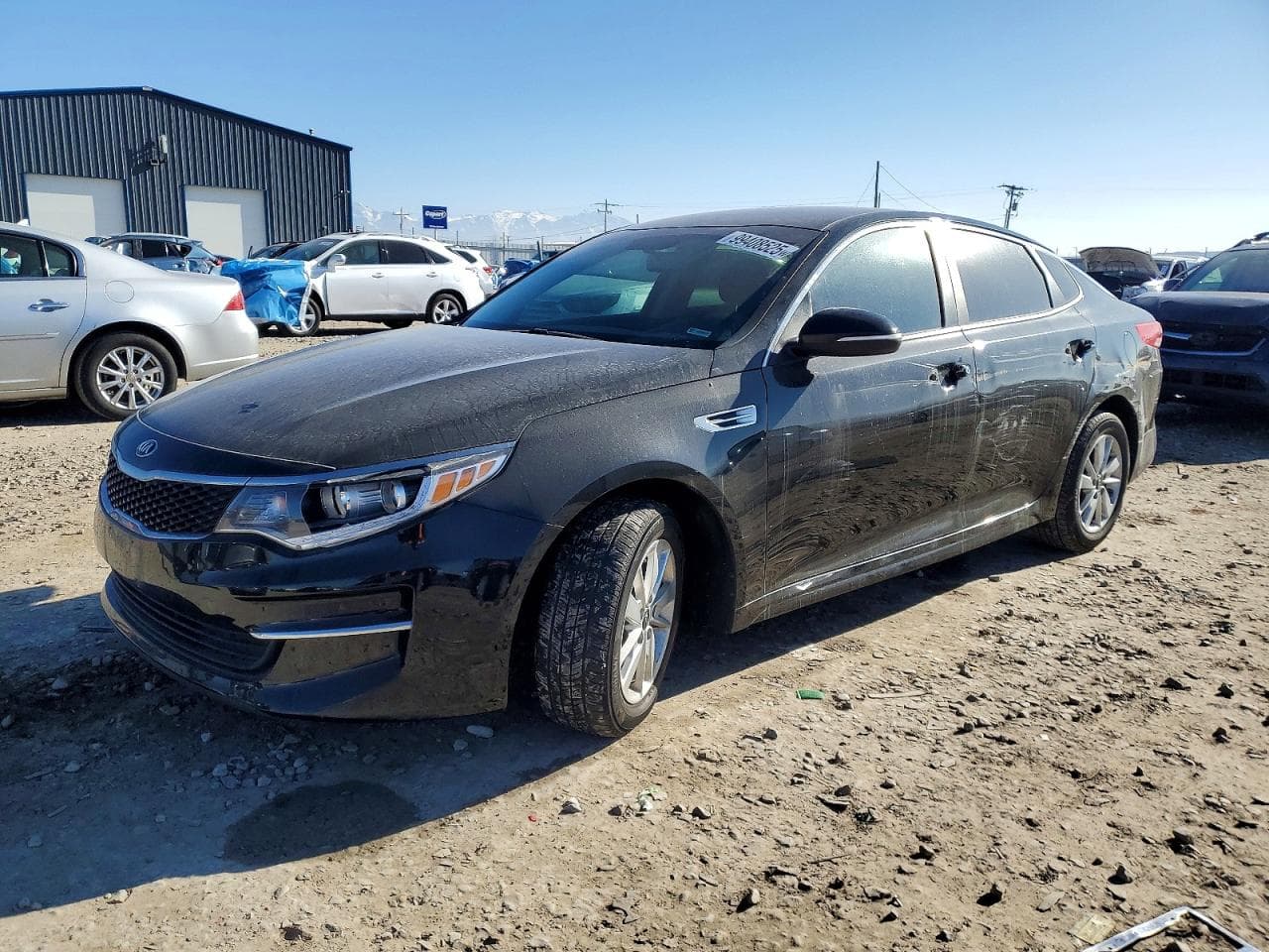 OPTIMA