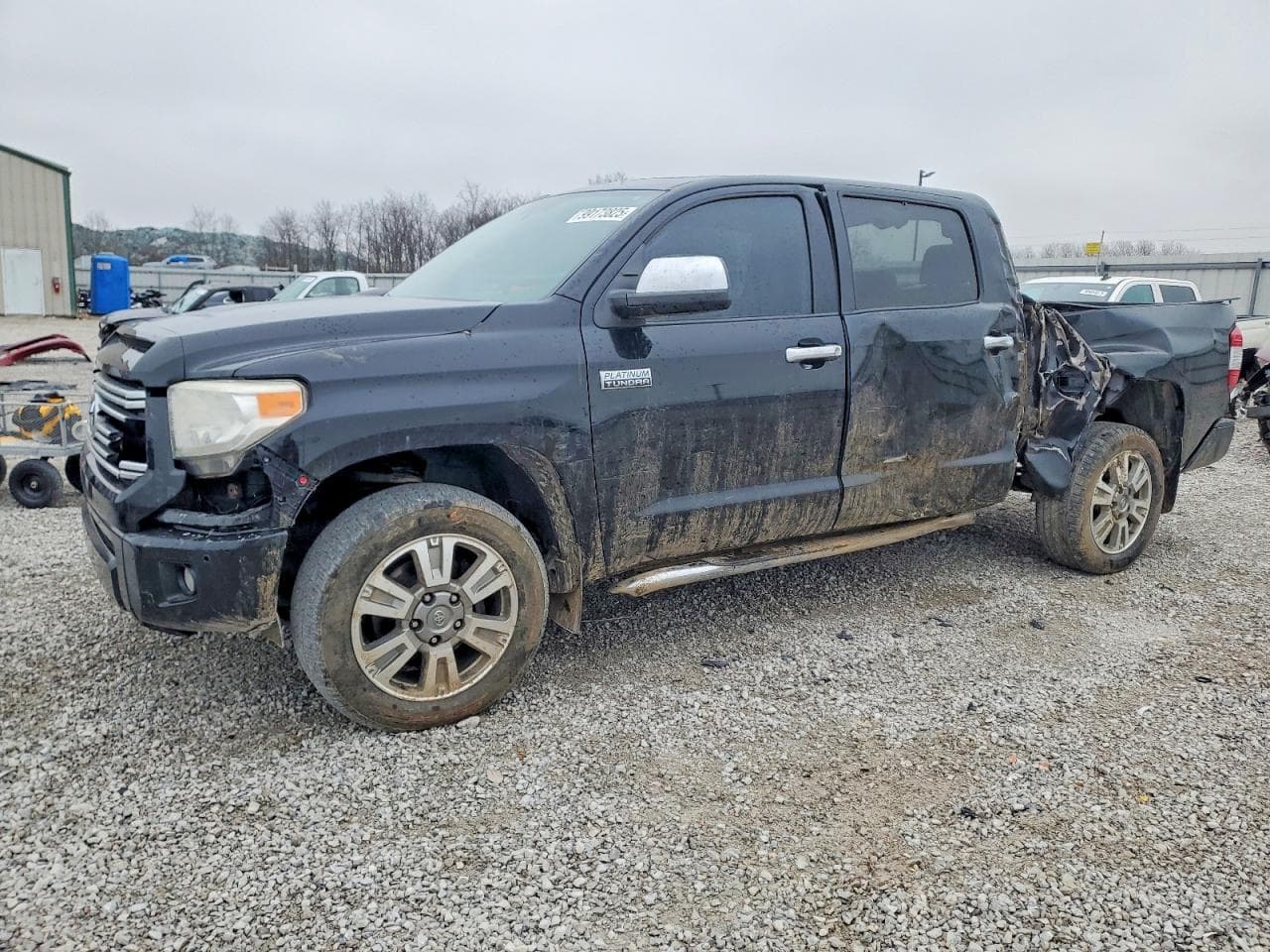 TUNDRA
