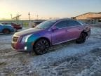 XTS