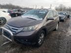 CRV
