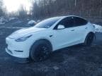 MODEL S
