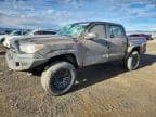 TACOMA