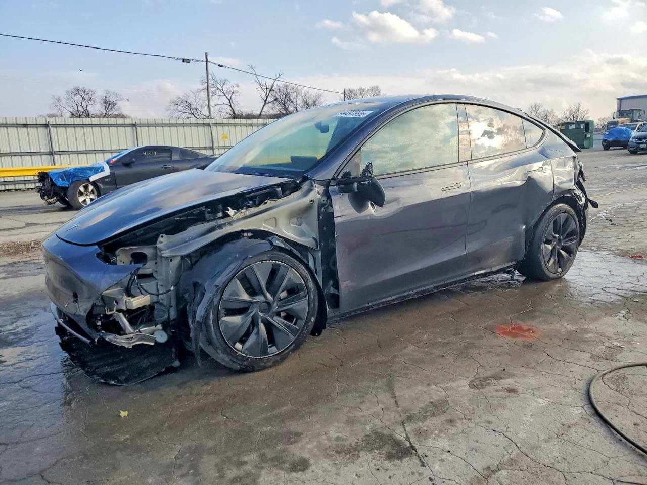 MODEL Y