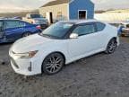 SCION