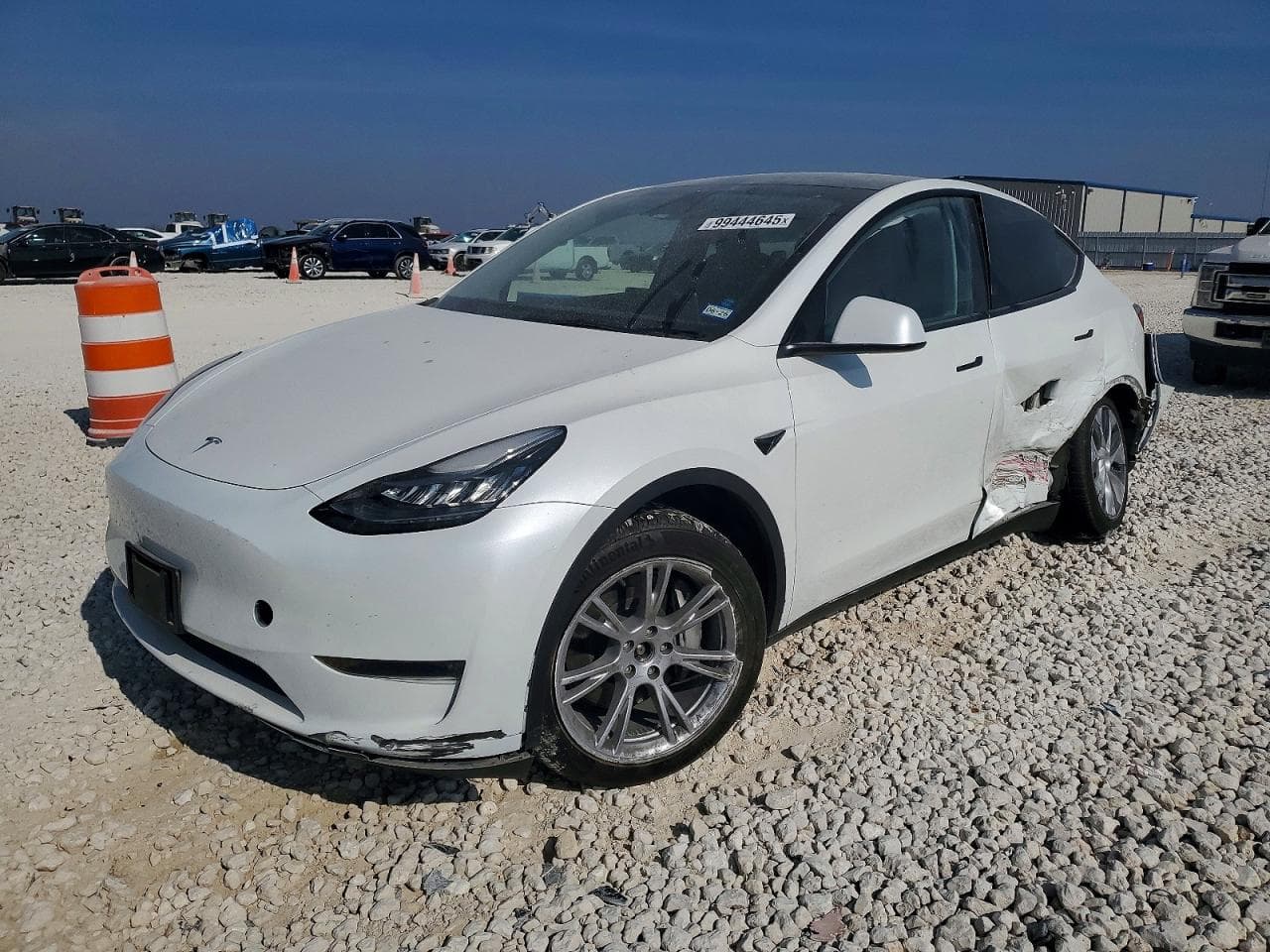 MODEL Y