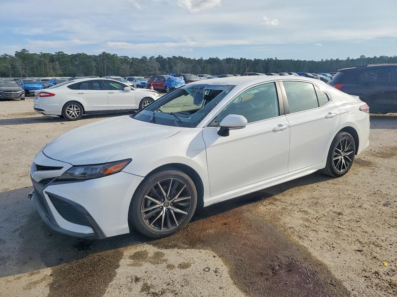 CAMRY