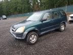CRV