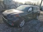 HIGHLANDER