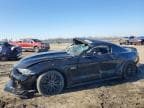 MUSTANG