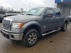 F-150