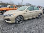 ACCORD
