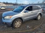 CRV