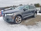 Q7