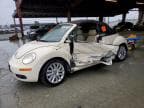 BEETLE