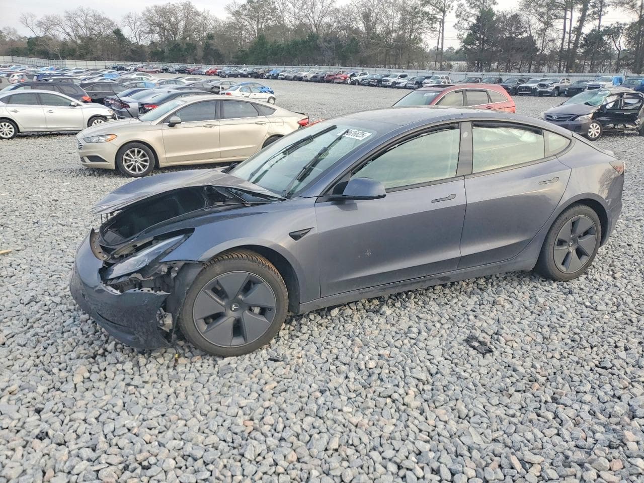 MODEL 3
