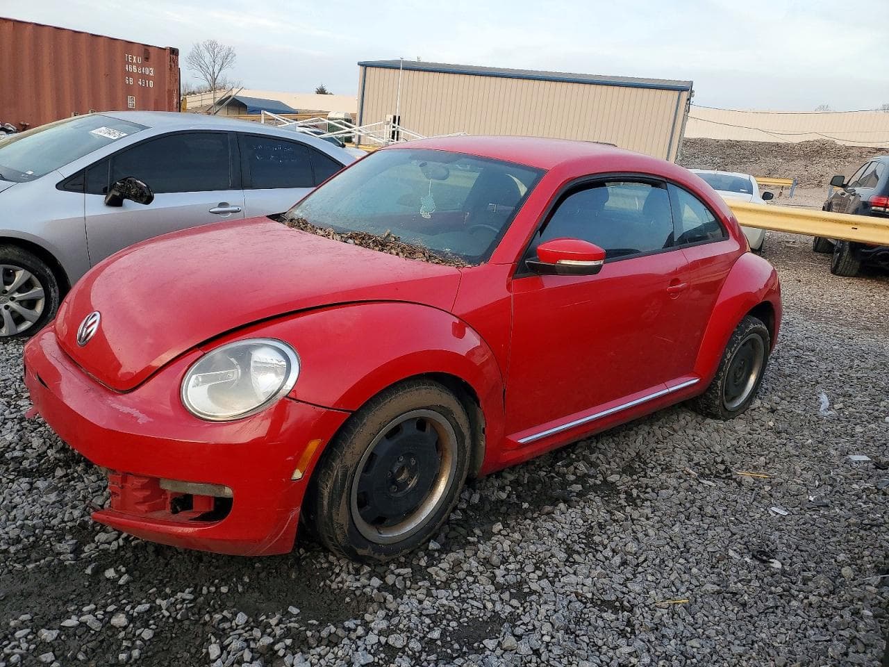 BEETLE