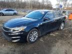 OPTIMA