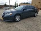 ALTIMA