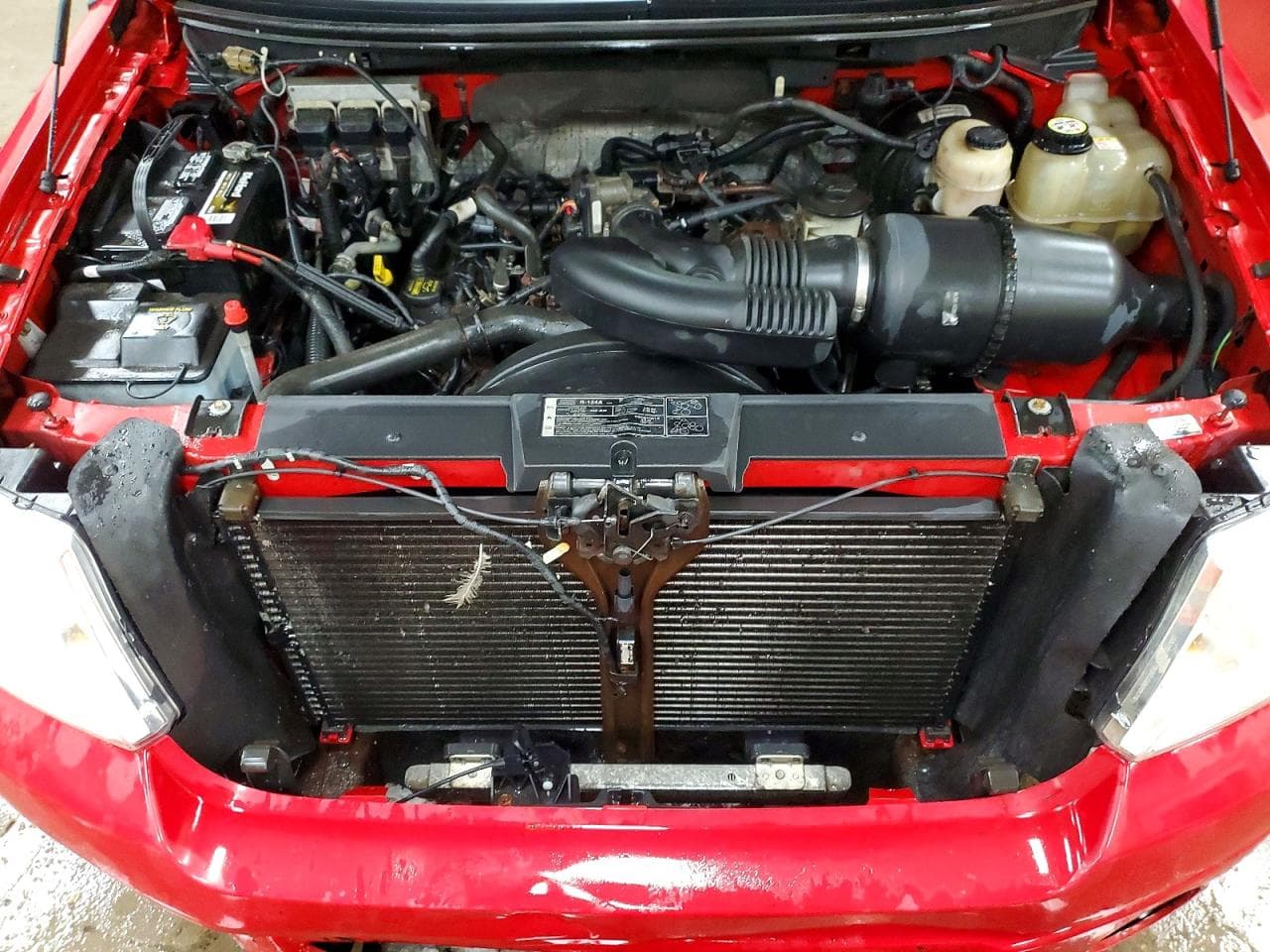 Foto 11
