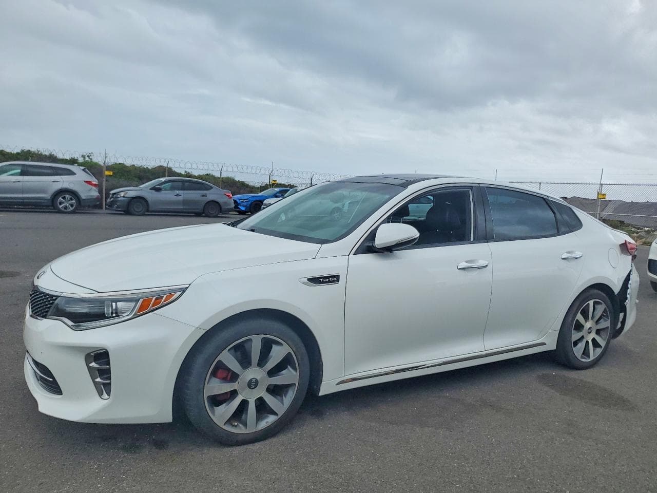 OPTIMA