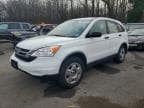 CRV