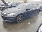 ACCORD