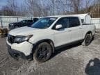 RIDGELINE