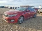 OPTIMA