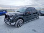F-150