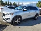 SORENTO