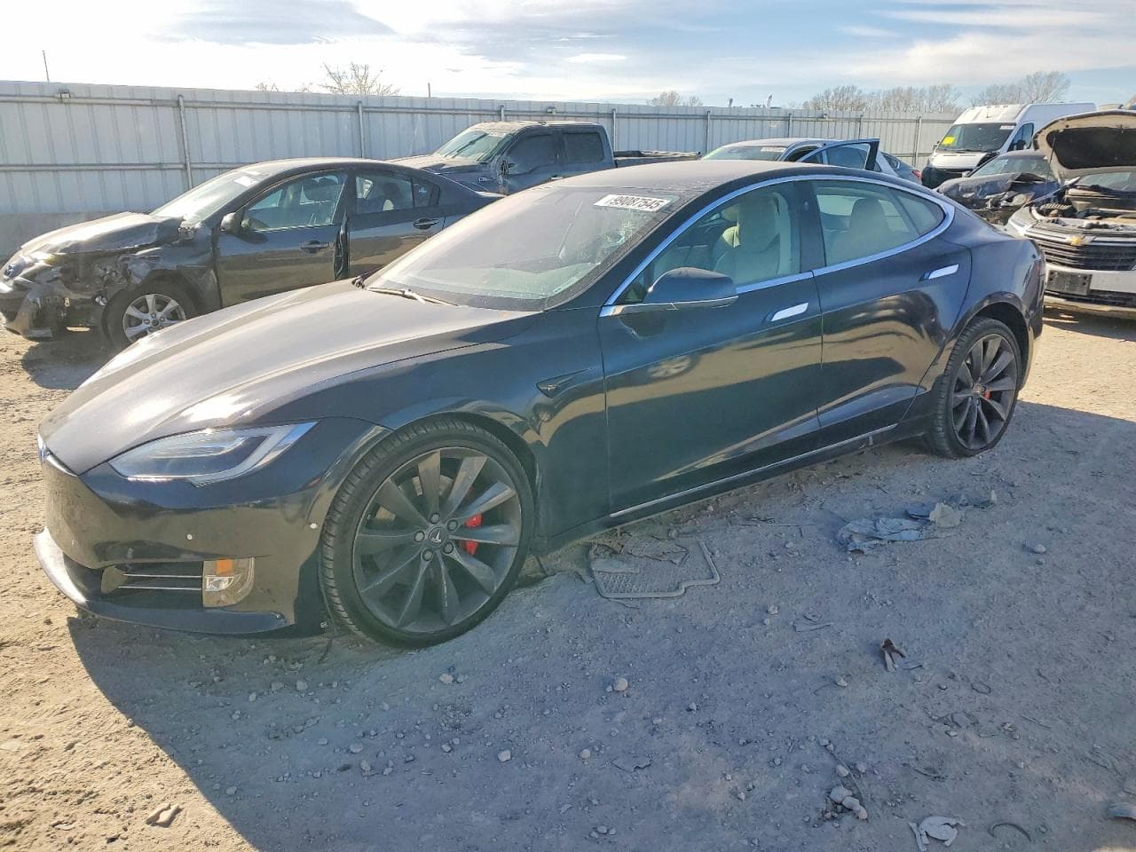 MODEL S