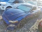 MUSTANG