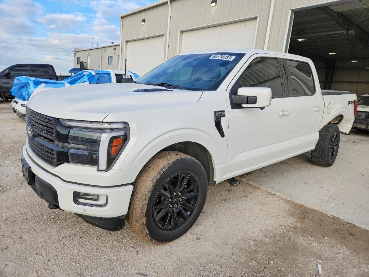 F150 PLATI
