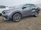 CRV