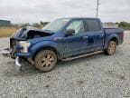 F-150
