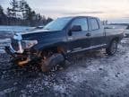 TUNDRA