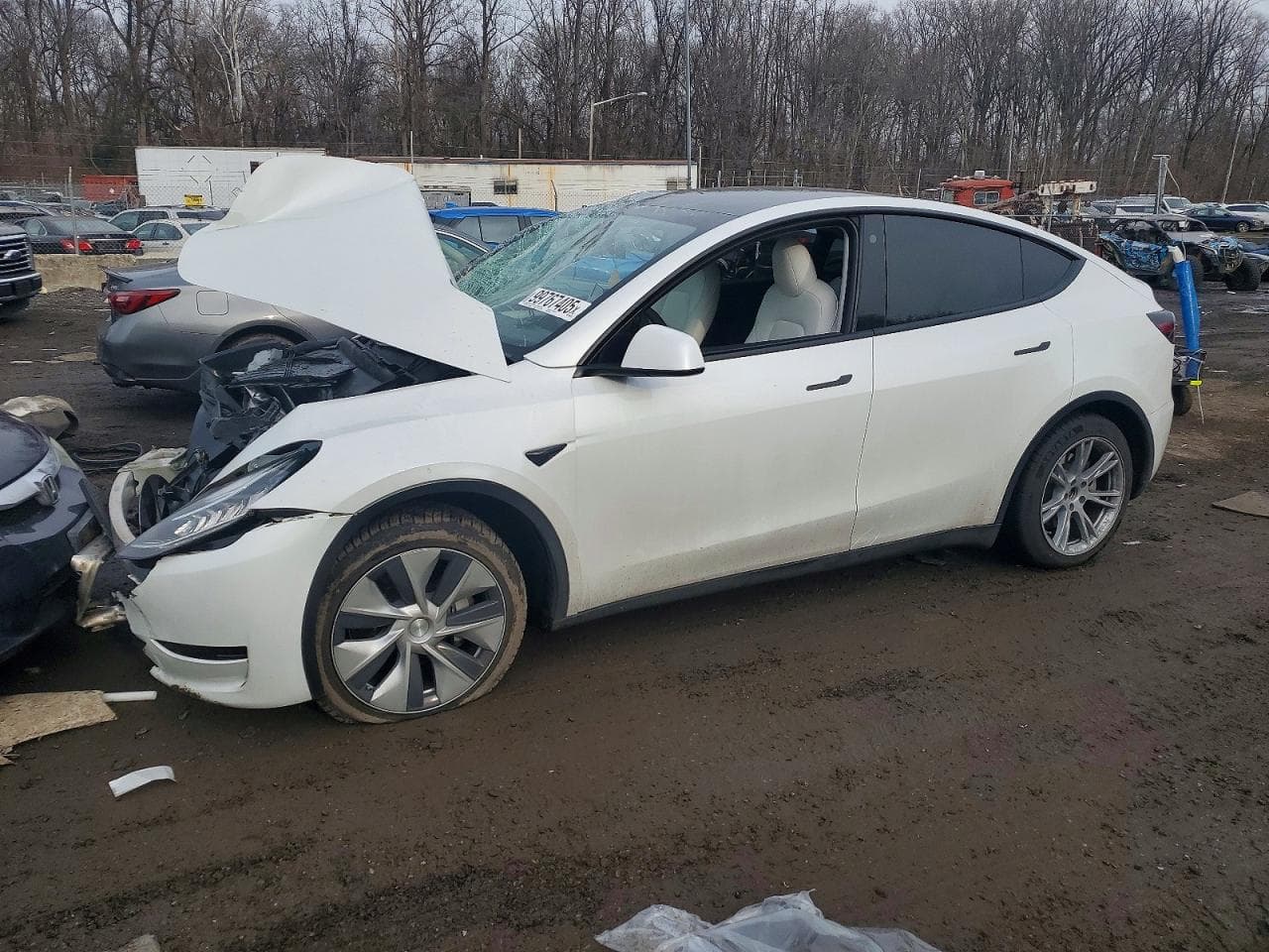 MODEL Y