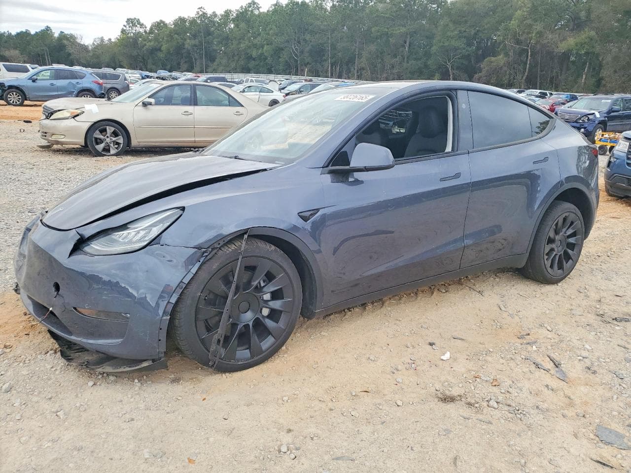 MODEL Y
