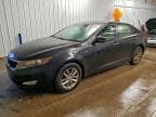 OPTIMA