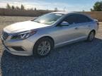 SONATA
