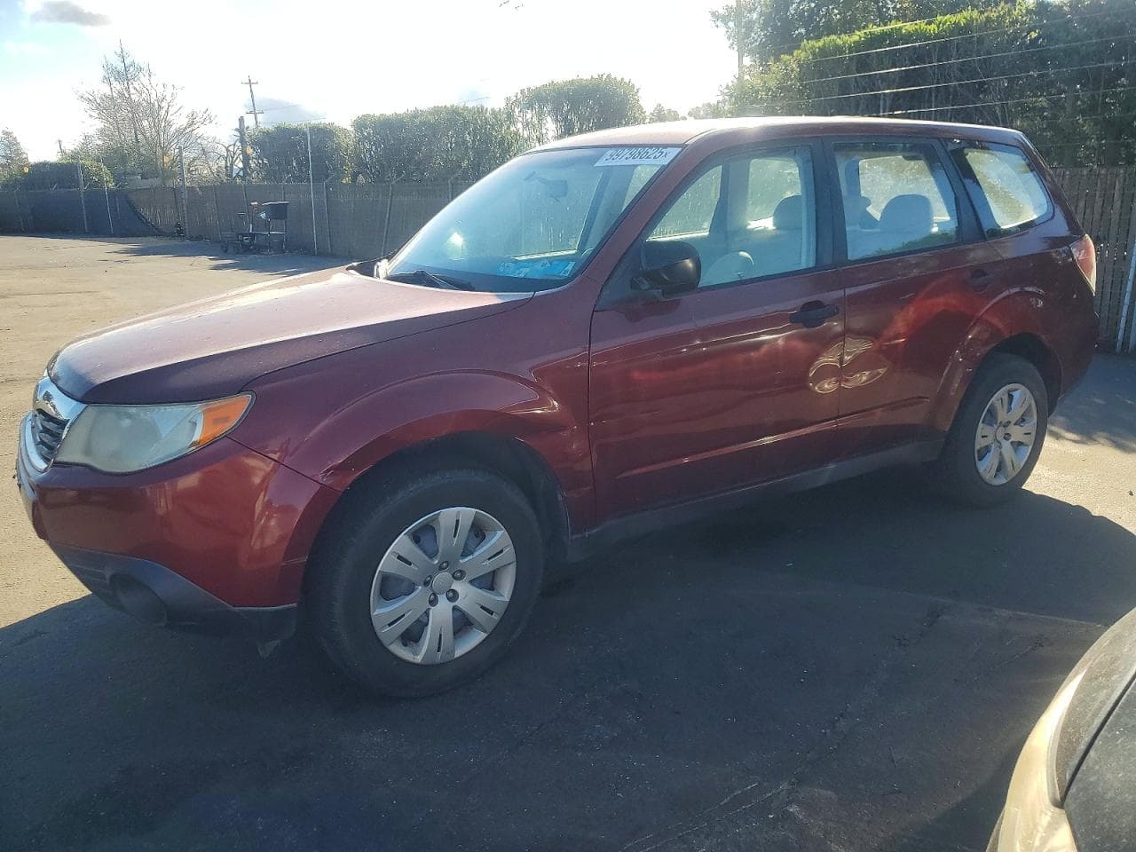 FORESTER