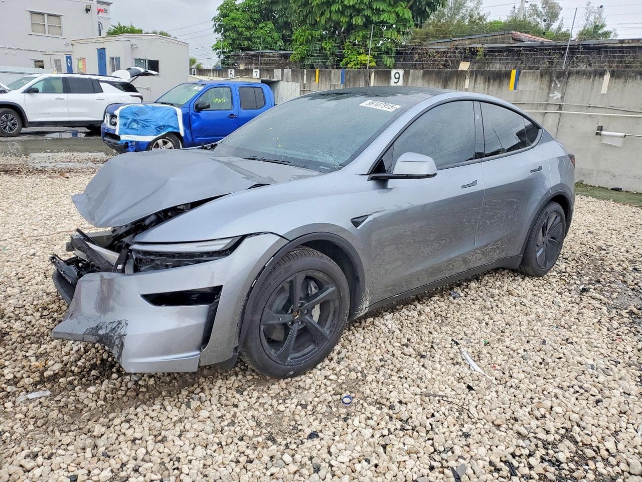 MODEL Y