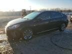 IONIQ