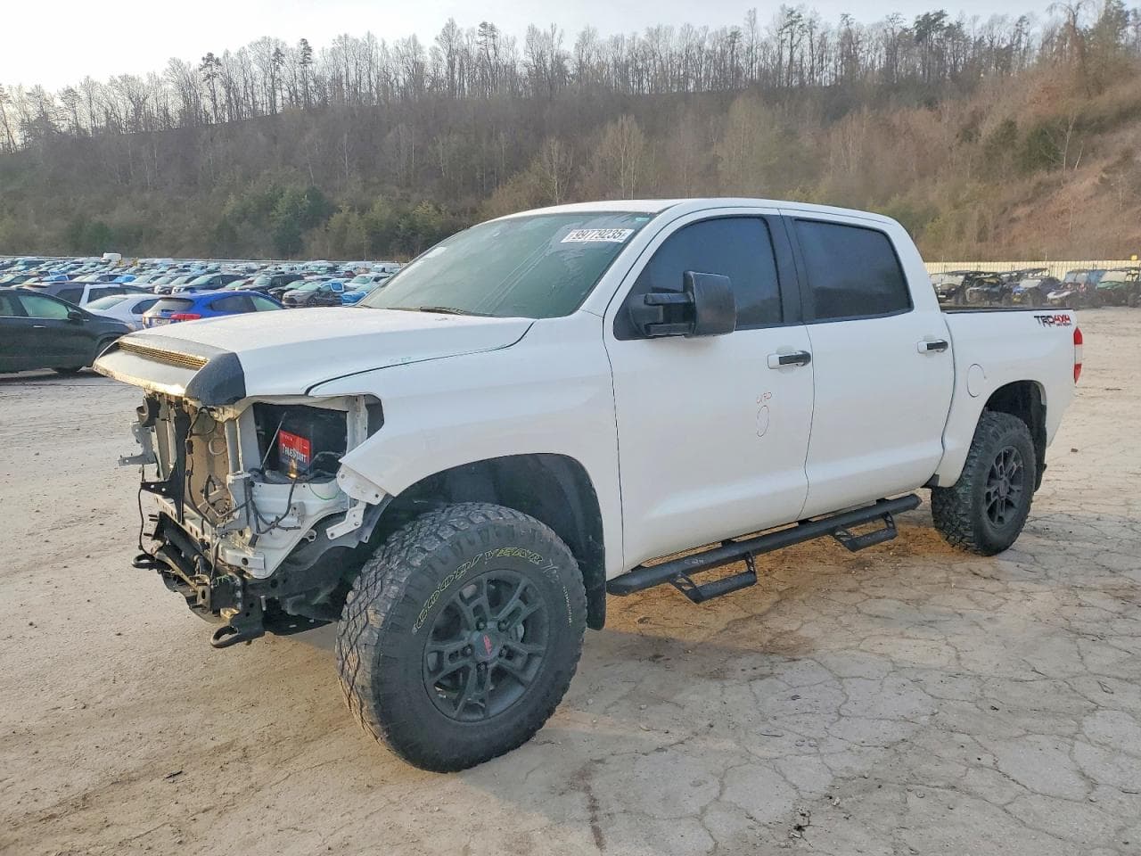 TUNDRA