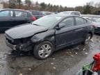 ELANTRA