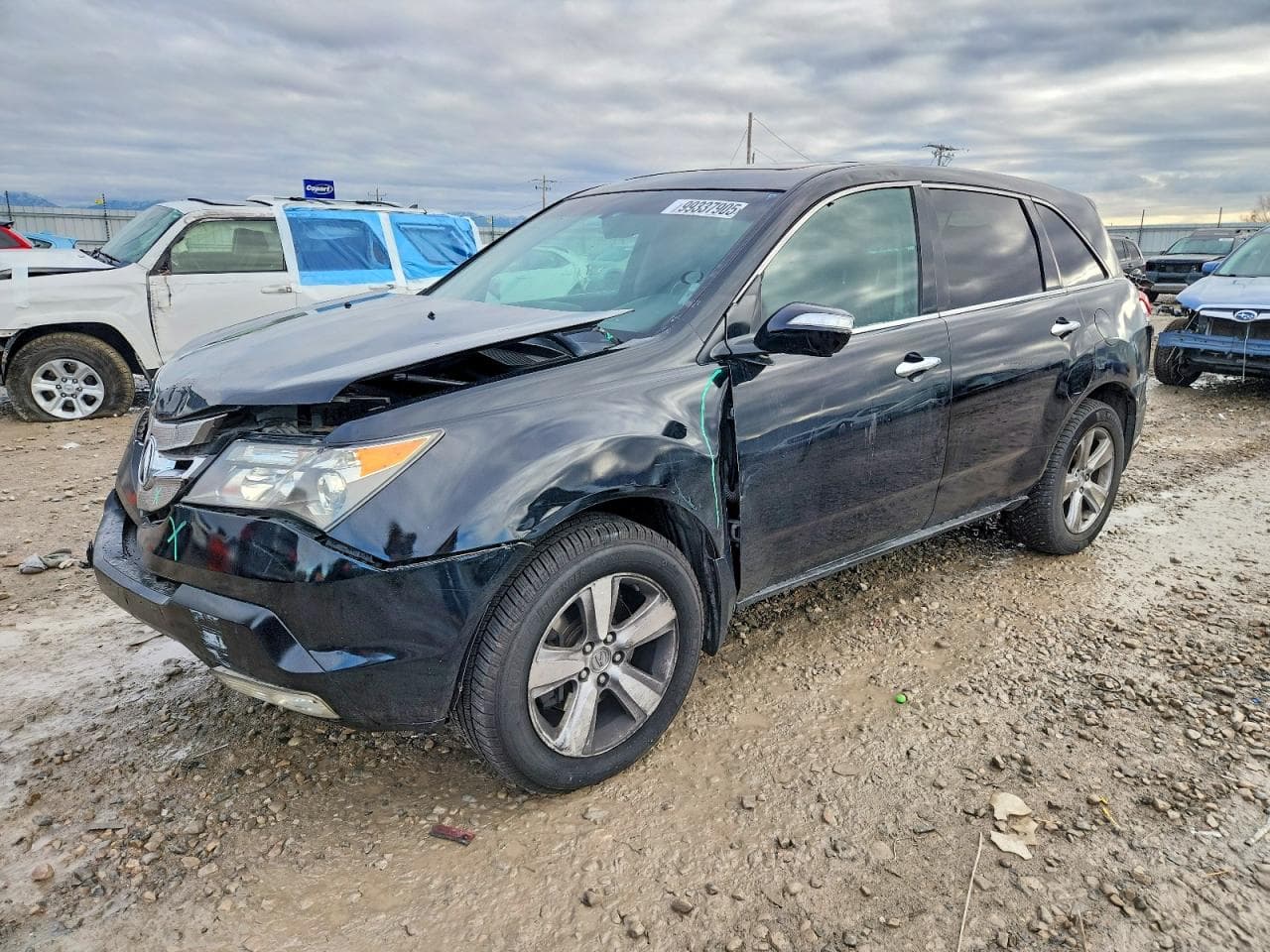 MDX