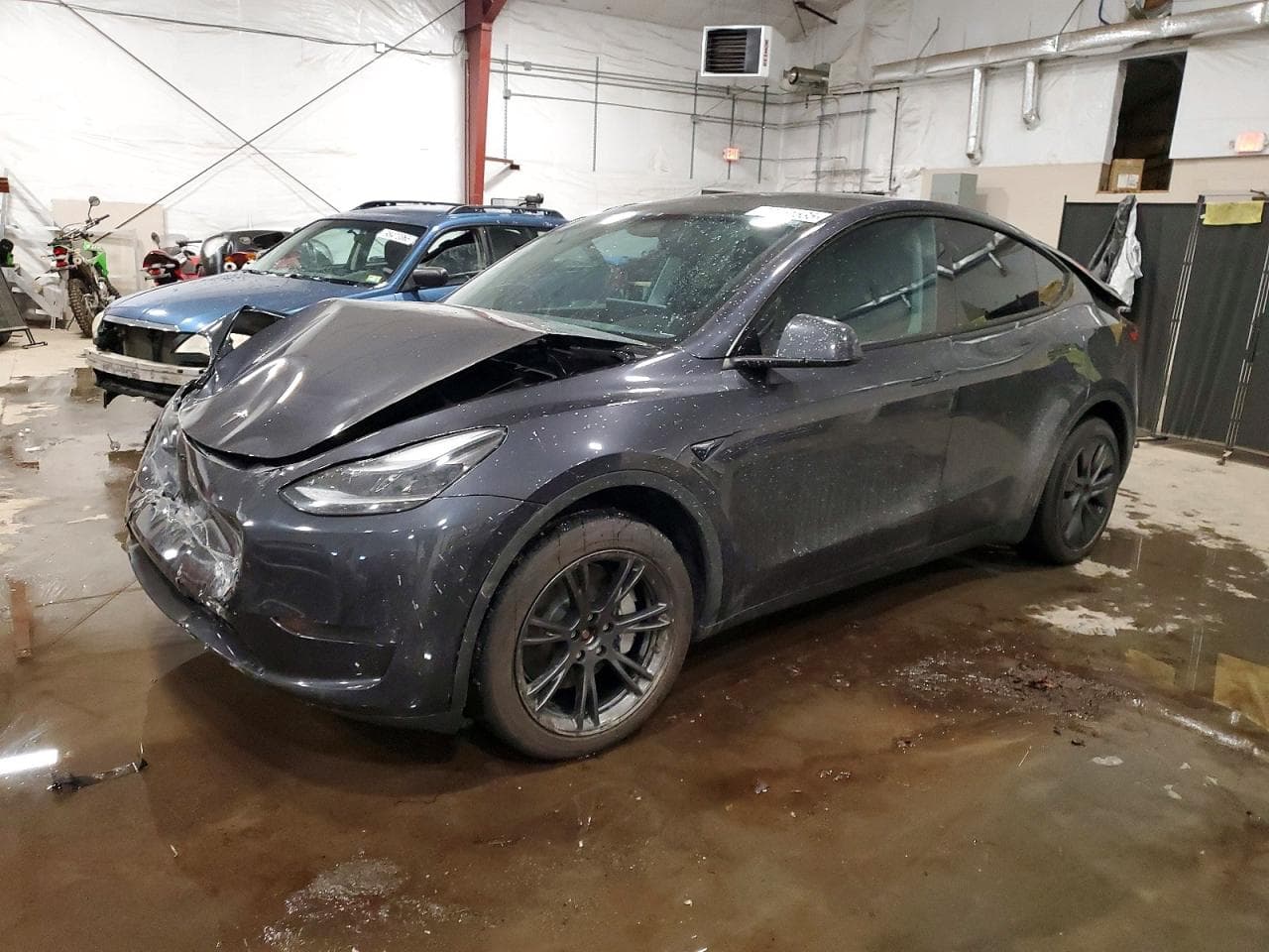 MODEL Y